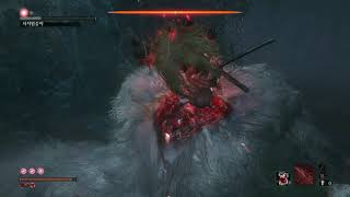 SEKIRO Reflection of Strength All Boss - 세키로 희귀한 강자와의 재전투 모든 보스 모음