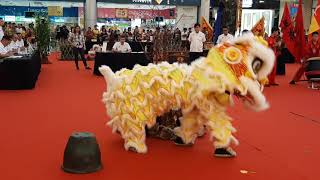 2019 第2屆雪蘭莪州龍獅錦標賽 @ IOI Mall Puchong  #雪州蒲種蓮花宮醒獅團