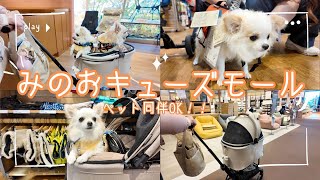 【まさか無印良品も⁉︎】ペット同伴OK‼︎みのおキューズモールで、愛犬とお買い物を楽しみました☆