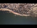 jezioro orzysz widok z drona orzysz lake a drone view