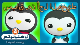 أوكتونوتس | 🏄 سباق من أجل المحيط 🌊 | حلقات مجمعة