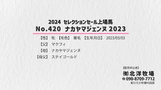 【セレクションセール2024】No.420 ナカヤマジェンヌ2023