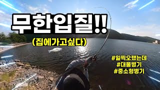 배스낚시 / 대물병기를 쓰니까 20분사이에 배스들이 환장을 하고 달려듭니다!!