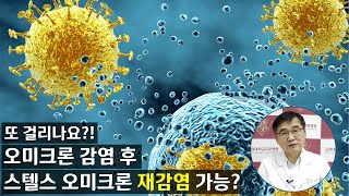 [코로나19] 코로나에 또 걸릴 수도 있나요?! #스텔스오미크론 | 감염내과 김우주 교수