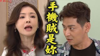 【炮仔聲】EP345預告 添丁抓到明珠偷手機 妍熙目睹麗玲電暈寶娜！