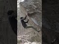 this rock climb has a perfect finish move 0 08