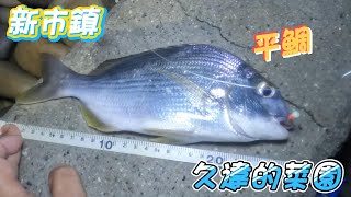 【游刃有魚】新市鎮 漁人碼頭 久違的菜園 沒讓我失望 超級彩蛋 巨大沙公 一步之遙 成仔丁 平鯛 火斑笛鯛 六帶鰺 三角仔 鐵板 磯釣 沉底 天亞 岸拋 米諾 路亞 軟蟲 #fishing #游刃有魚