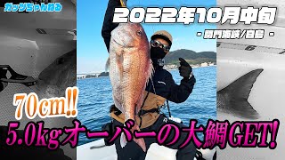 【オフショア】強烈!5kgオーバーの引きはマジでヤバい!白島 前編 #タイラバ ジギング #LSJ 2022年10月中旬 マイボート UF21 #北九州 山口 下関 #関門海峡 船釣り