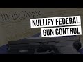 Status Report: Nullify Federal Gun Control