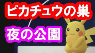 ポケモンGO 実況20「ピカチュウの巣？名古屋の公園でレアを探す田舎者！」