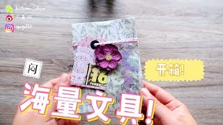 不是闷 | 2月从国内带回的海量文具 | Huge Stationery Haul Unboxing!