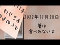 【サザナミフグ】ふぐ助 1周年記念アルバム ショート動画で振り返る成長の記録