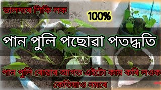 পানৰ পুলি পছোৱা কৌশল ভালকৈ শিকি লওক || https://youtu.be/P7Dgs83mXds?si=dTbtlrlYO0abDbSM।