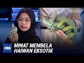 Minat Membela Haiwan Eksotik | MHI (21 Disember 2020)