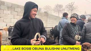 SHAXRIXON XOLDONBE MOL BOZORIDAN HUNAJIN NARXLARI ARZAN BUGUN HUNAJIN BOZORDA