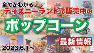 【ポップコーン最新情報】東京ディズニーランドで現在販売中のポップコーンまとめ/2023-06-01