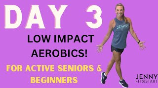 Day 3 - LOW IMPACT AEROBICS!  Old School Moves!