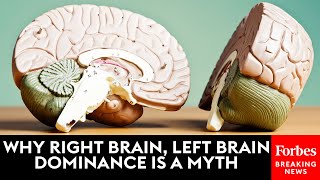 Why Right Brain, Left Brain Dominance Is A Myth