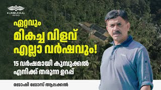 കുമ്പുക്കൽ കുരുമുളക് വിളവെടുപ്പ്-  എല്ലാ വർഷവും മികച്ച വിളവ്, ലിറ്റർ വെയ്റ്റ് കൂടുതലുള്ള ഇനം!!