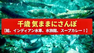 【気ままにさんぽ】千歳 サケが遡上する千歳川沿いの、ゆかりの地散策〈インディアン水車、サケのふるさと千歳水族館〉Walk around Chitose,Hokkaido JAPAN