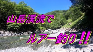 山梨の山岳渓流でイワナ釣り　②