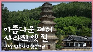 아름다운 폐허, 사라진 옛 절 | 7. 안동 법흥사지 칠층전탑