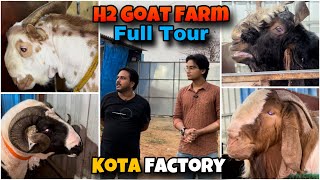 H2 Goat Farm Full Tour 2024 | Best Kota Collection at Bhiwandi Padhga