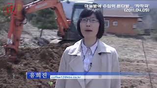 [뉴본史] 마늘밭에 묻힌 수십억 돈다발... 세상에 드러난 경위는? (2011.04.09)