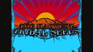 Tribal Seeds - Libertad ft. Dready