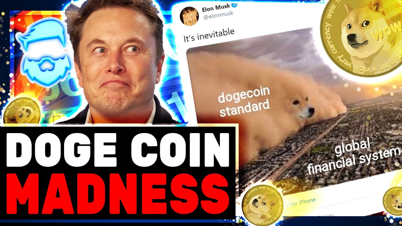 What Is Dogecoin & When Is It Going To The Moon? 🚀🌕 Meme Stocks ...