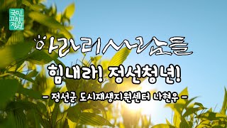 아라리사람들 [힘내라 정선청년! - 정선군도시재생지원센터 나현우 팀원]