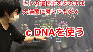 ｃDNA（相補的DNA）　高校生物発展