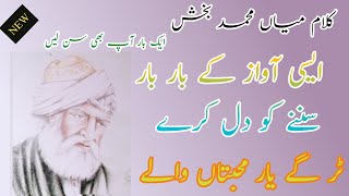 kalam Mian Muhammad Bakhsh Panjabi | Saif Ul Malook |  Tur Gaye Yaar | Sufi Kalam