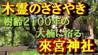 静岡県熱海市　人気のパワースポット　来宮神社