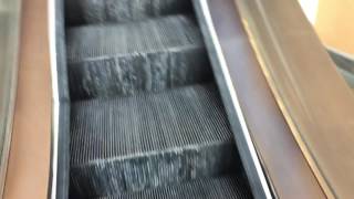 Boston MA Fujitec Escalators @ The Westin , Copley Place