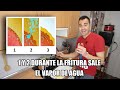 ✅ cómo freir en aceite correctamente 👉 opinión aceite orujo de oliva