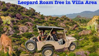 Ep 13 Wild Neighbors: The Villa Where Leopards Roam | Abhay Manor Ghanerao | amã Stays \u0026 Trails