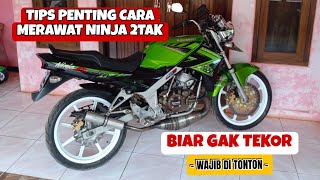 CARA MERAWAT NINJA 2 TAK ( NINJA R - NINJA SS - NINJA RR )