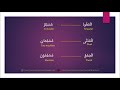 examples of singular dual plural noun in arabic