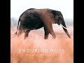 enduring hope