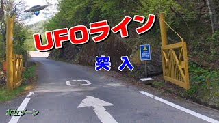 UFOライン (瓶ヶ森林道) 其の一 【木立ゾーン】