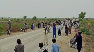 donkey race Larkana A S Gul Ghotki