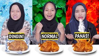 TANTANGAN MAKANAN DINGIN VS PANAS VS NORMAL |Desma And Bestie