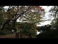 紅葉が真っ盛り　杉並区　善福寺公園　2017.11.27