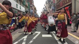 【4K公式】 東京花火「花かるた」 / かわさき楽大師まつり2017 - ごりやく通り