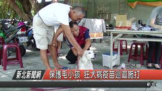 1070810 新北新聞網 三芝區 保護毛小孩 狂犬病疫苗巡迴施打