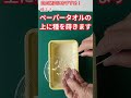 自由研究におすすめ！食べたメロンの種は芽を出すのか？ 実験 種から育てる 自給の種 自由研究 栽培