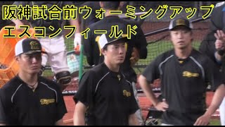 阪神タイガース　試合前のウォーミングアップ　＠エスコンフィールド北海道　20230611