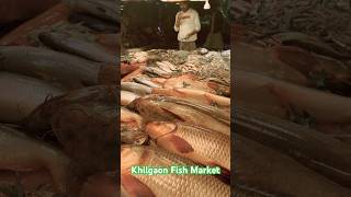 Khilgaon Railgate Night Fish Market #shorts #shortsfeed #ytshorts #fish