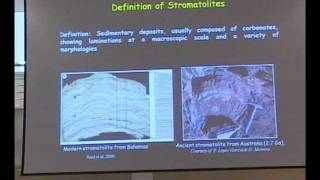 Lecture on Stromatolites (part I)